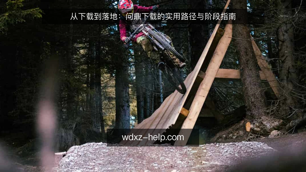 从下载到落地:问鼎下载的实用路径与阶段指南