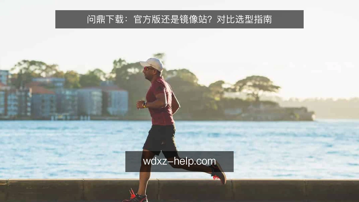 问鼎下载：官方版还是镜像站？对比选型指南
