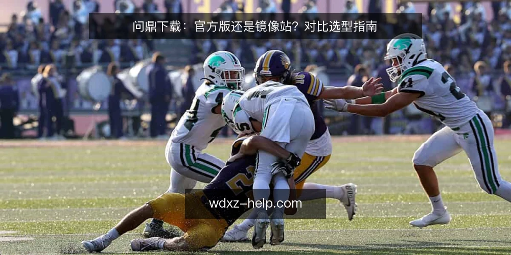 问鼎下载：官方版还是镜像站？对比选型指南 — 明确下载需求边界 配图