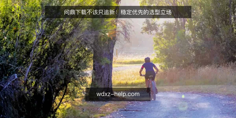 问鼎下载不该只追新:稳定优先的选型立场 — 从一次版本回退的现场说起 配图