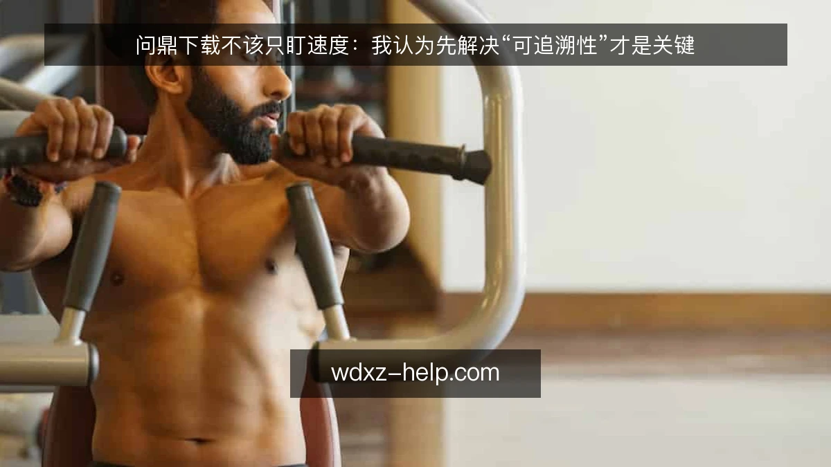 问鼎下载不该只盯速度：我认为先解决“可追溯性”才是关键