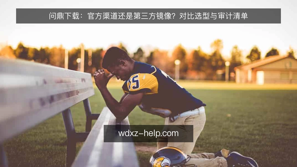 问鼎下载:官方渠道还是第三方镜像?对比选型与审计清单