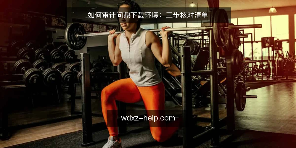 如何审计问鼎下载环境:三步核对清单 — 为什么现在要做一次问鼎下载审计 配图